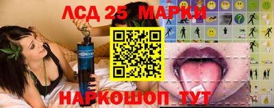крисы Нальчик