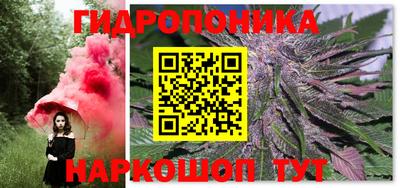 крисы Нальчик