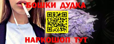 крисы Нальчик