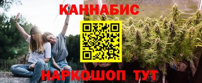 крисы Нальчик