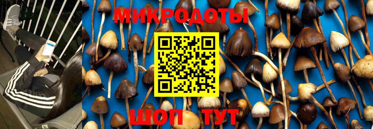 Галлюциногенные грибы Psilocybine cubensis Чехов